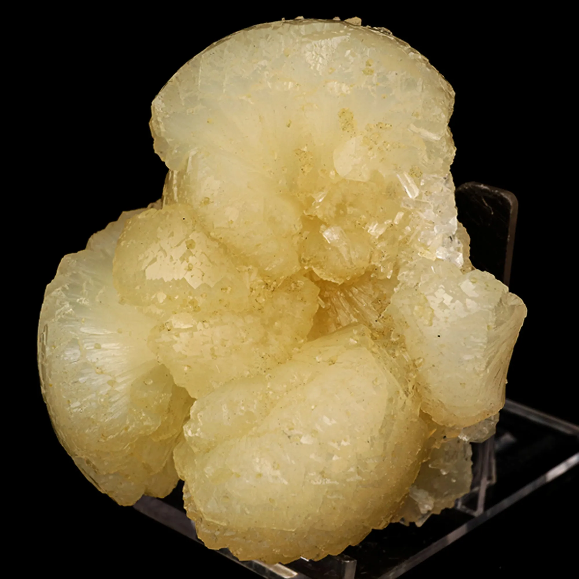 Stellerite Bow Natural Mineral Specimen - image 2
