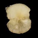 Stellerite Bow Natural Mineral Specimen - image 1