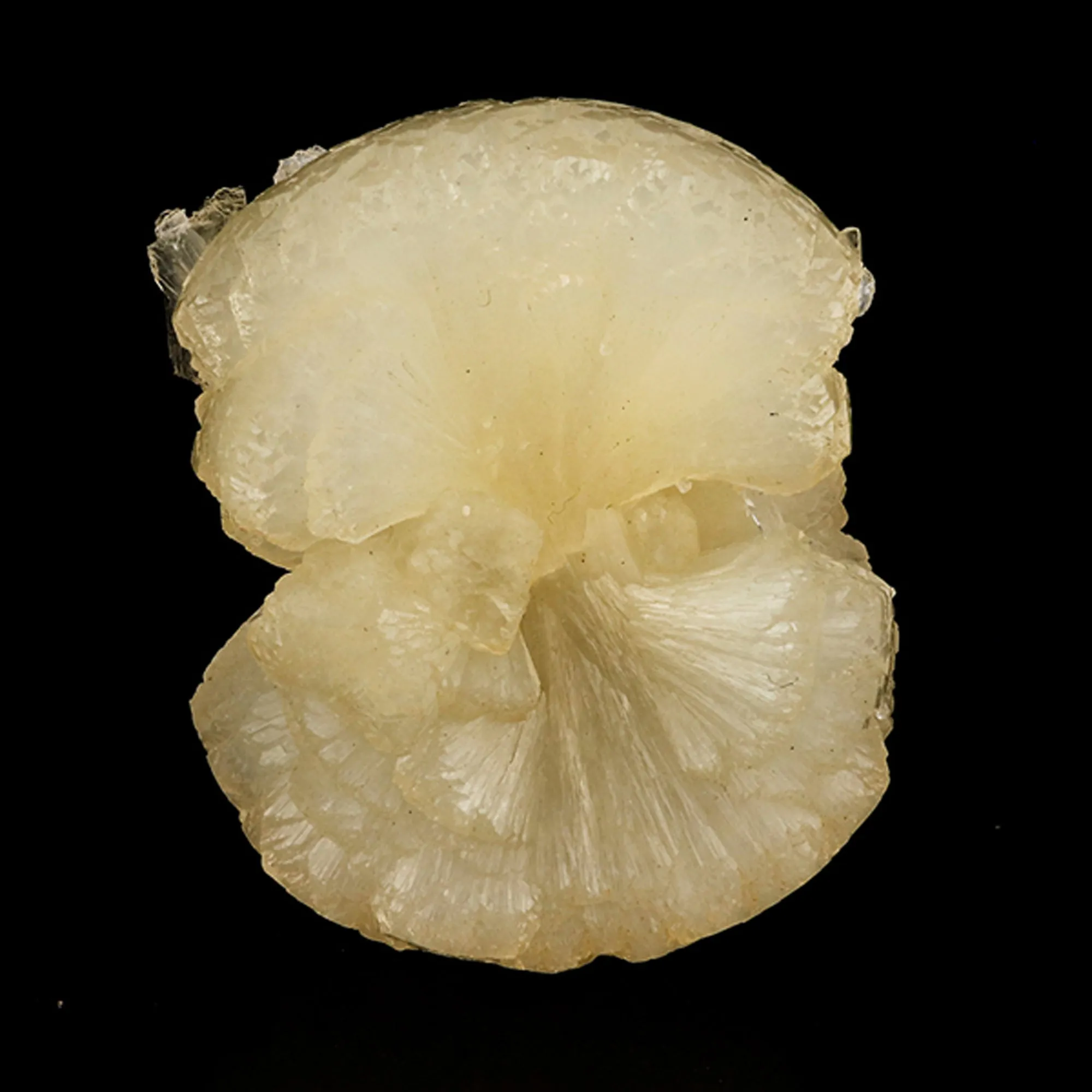 Stellerite Bow Natural Mineral Specimen - image 1