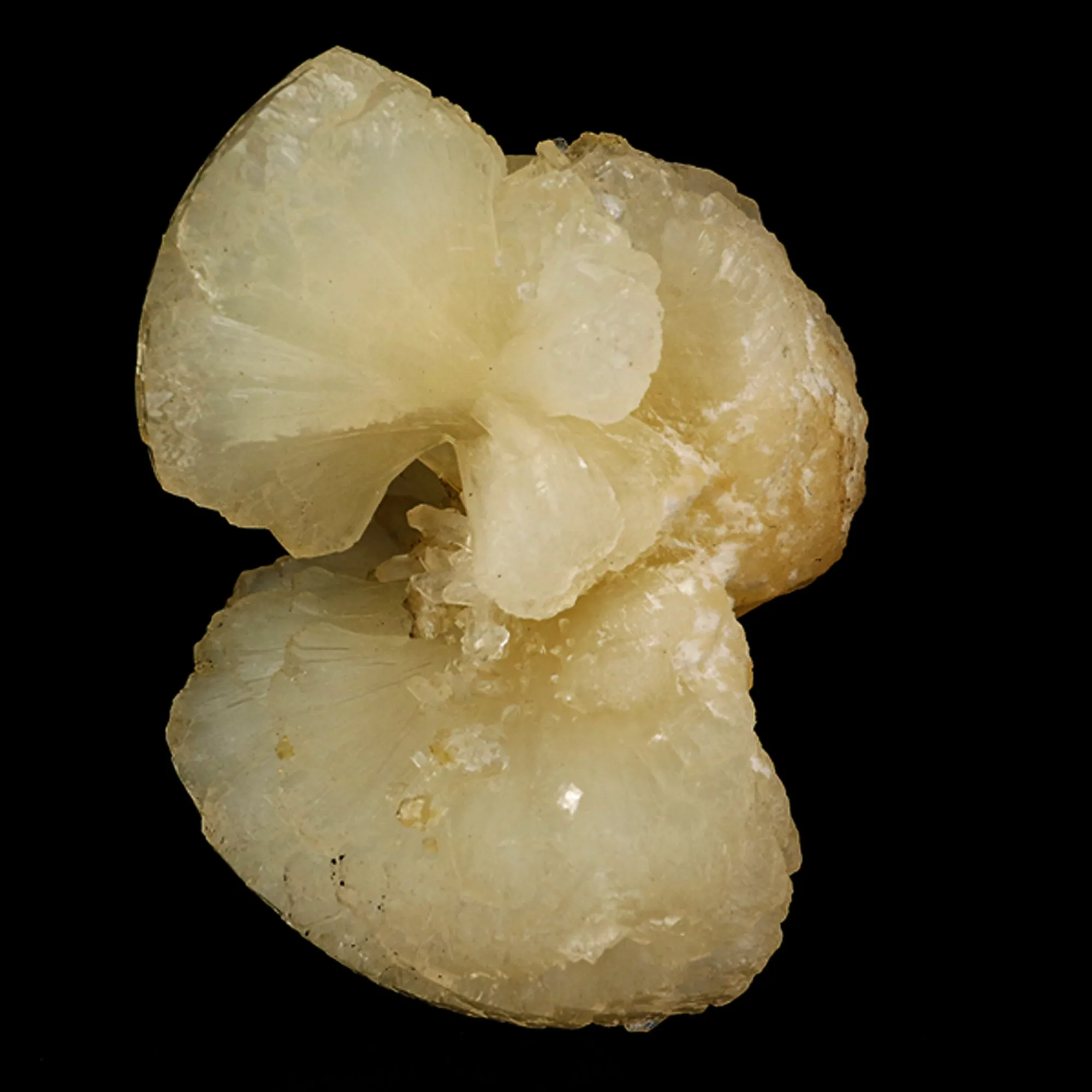 Stellerite Bow Natural Mineral Specimen - image 5