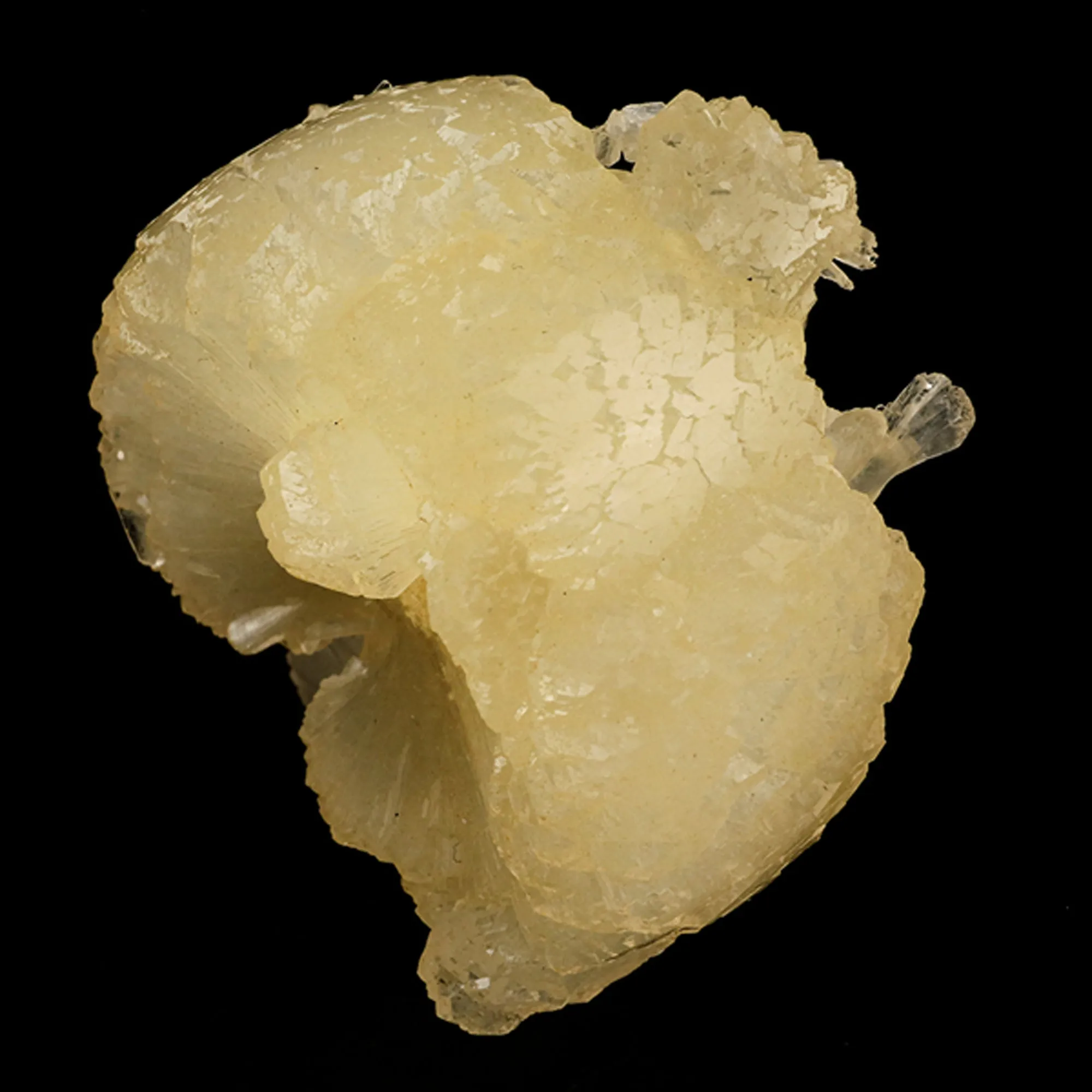 Stellerite Bow Natural Mineral Specimen - image 3