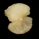 Stellerite Bow Natural Mineral Specimen - image 2