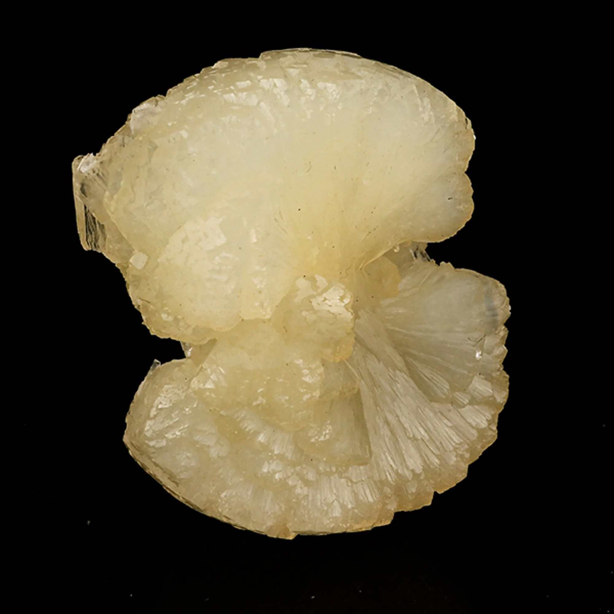 Stellerite Bow Natural Mineral Specimen - image 2