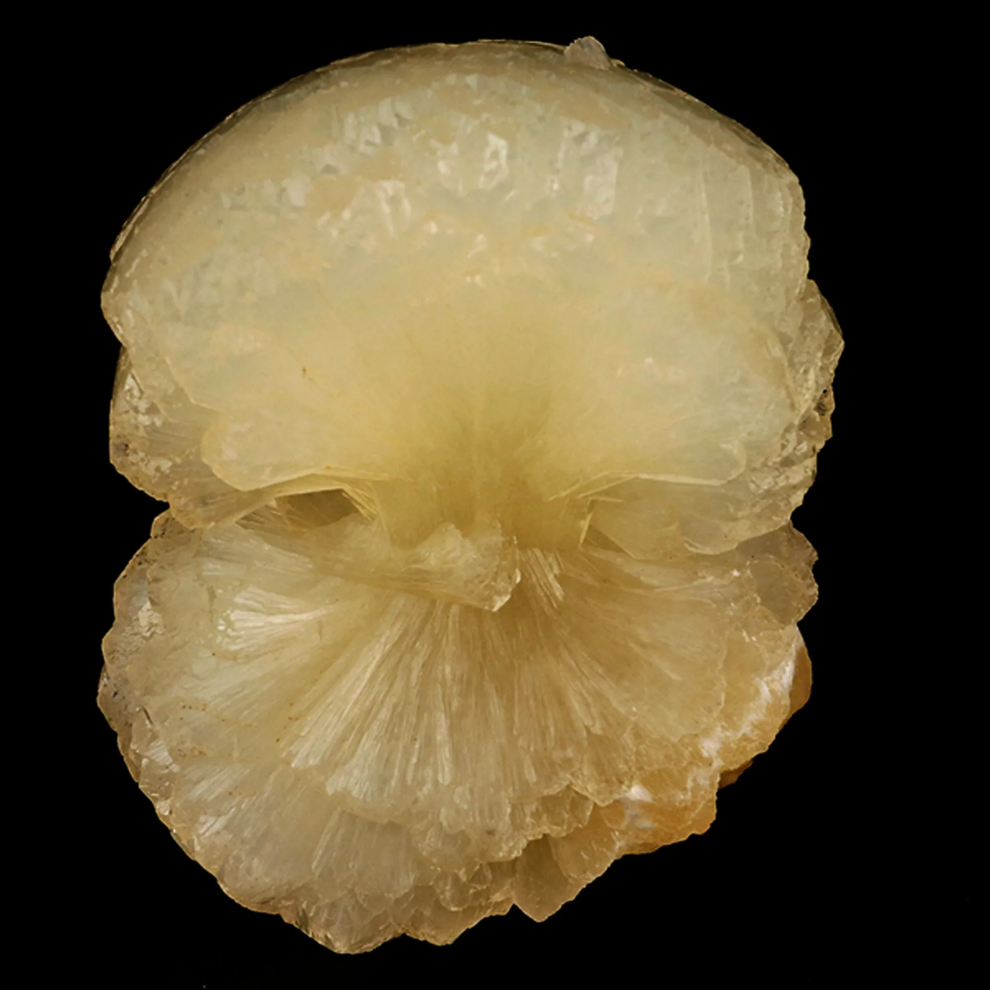 Stellerite Bow Natural Mineral Specimen - image 1