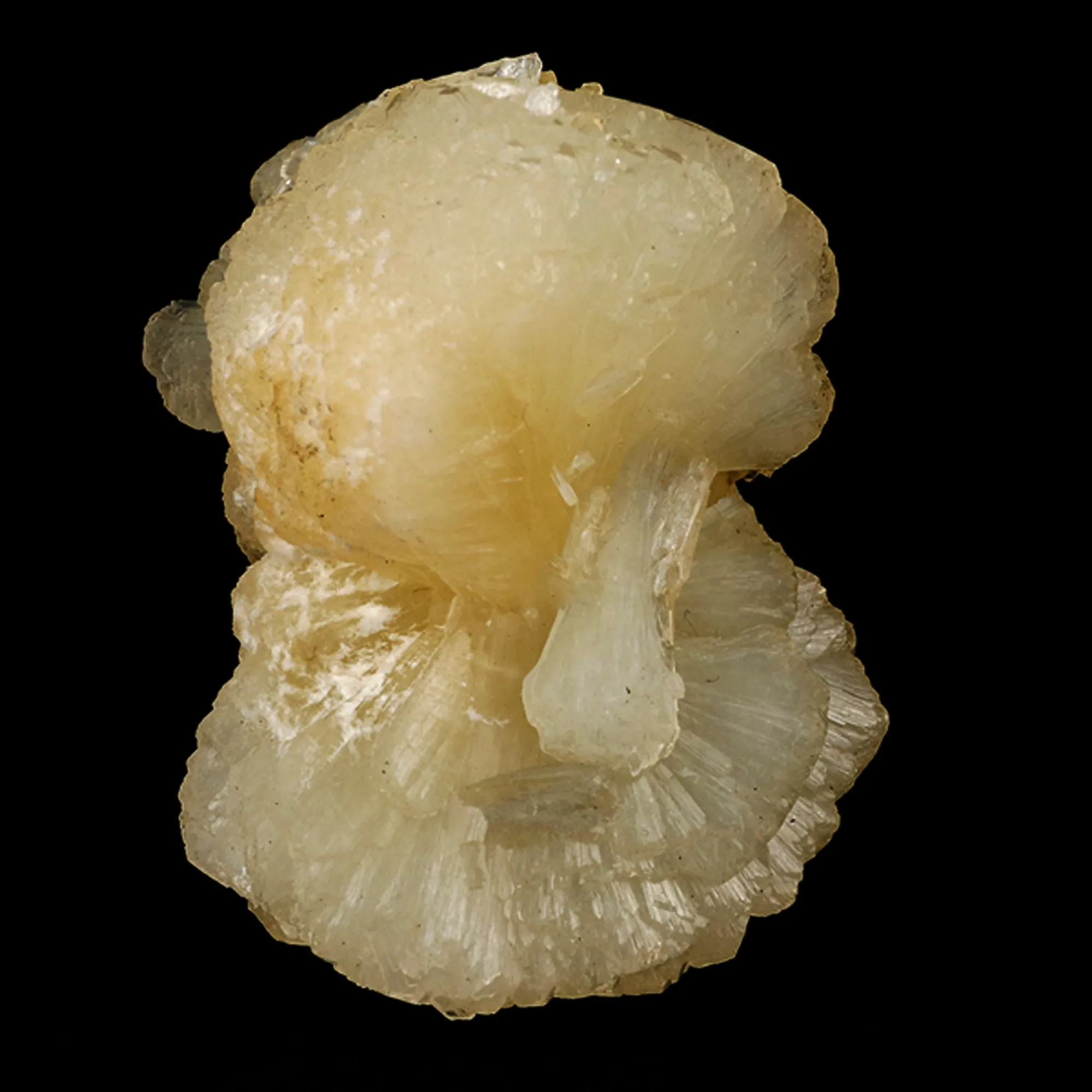 Stellerite Bow Natural Mineral Specimen - image 3