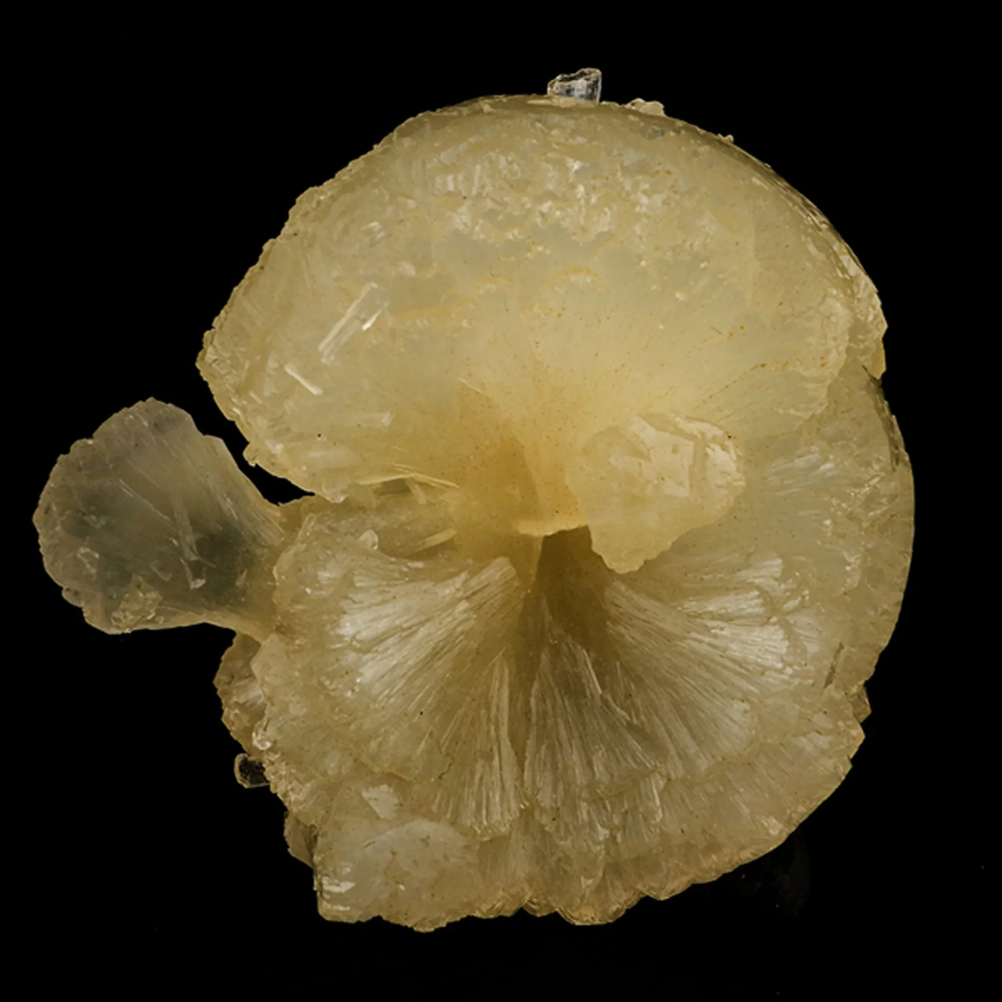 Stellerite Bow Natural Mineral Specimen - image 4