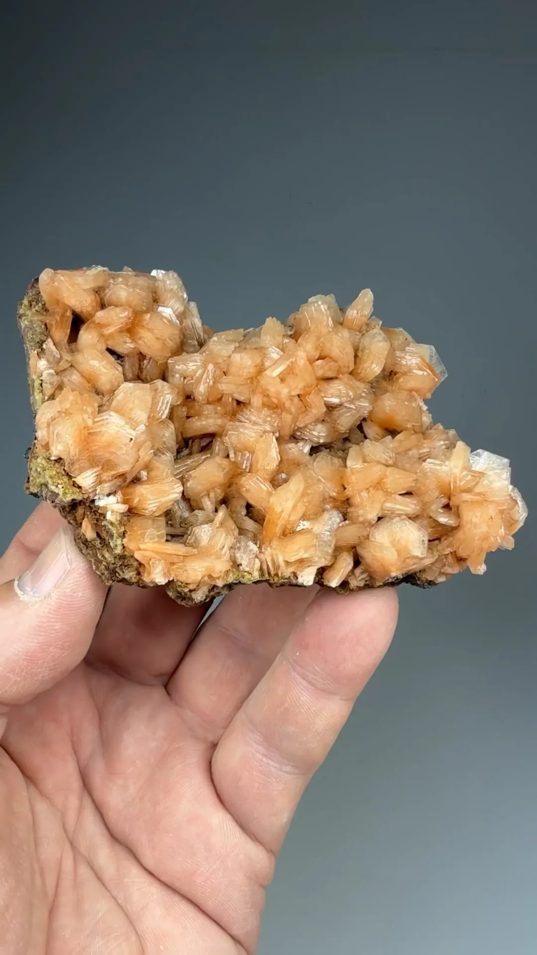 Stellerite - image 2