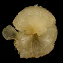 Stellerite from India - image 4