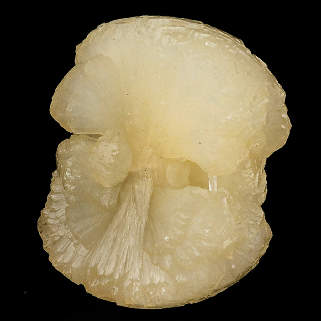 Stellerite from Nashik, Nashik District, Nashik Division, Maharashtra, India - image 3