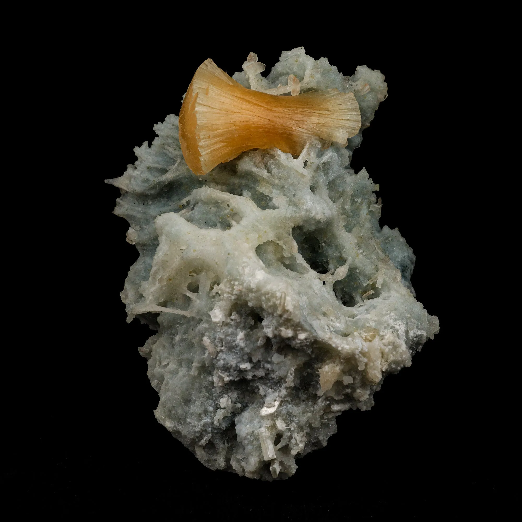Stellerite Wings on Chalcedony Coral Formation Natural Mineral Specimen - image 1