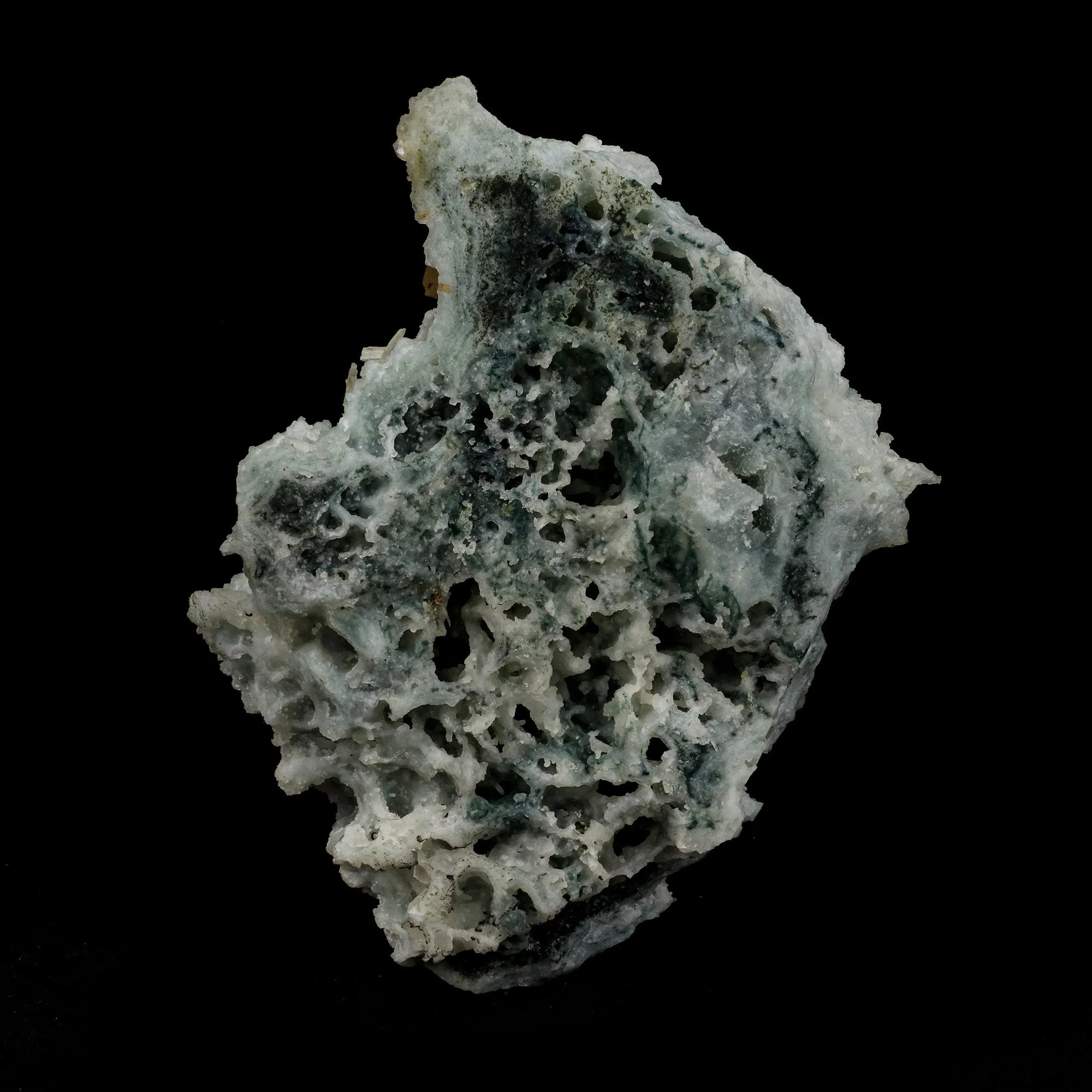 Stellerite Wings on Chalcedony Coral Formation Natural Mineral Specimen - image 4