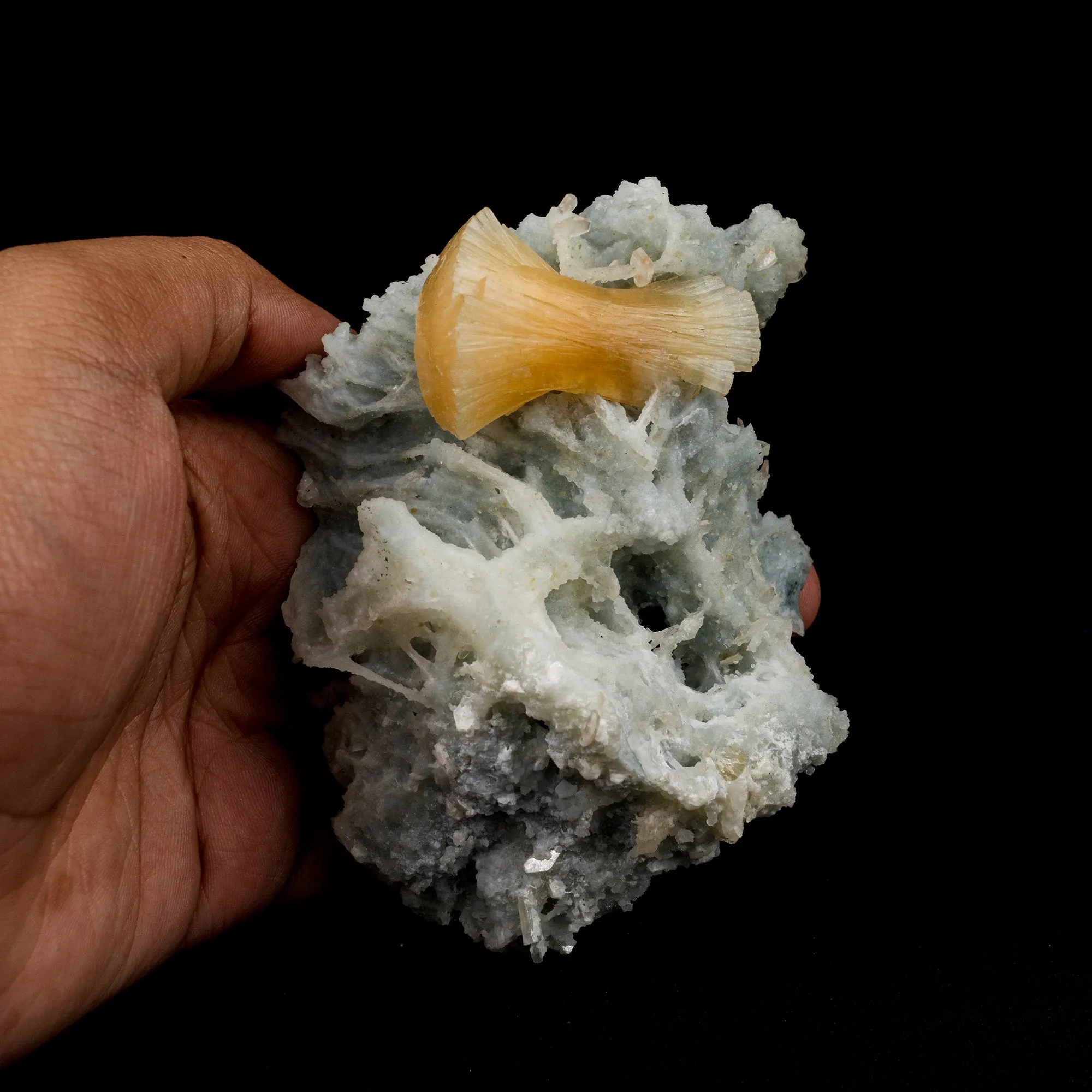 Stellerite Wings on Chalcedony Coral Formation Natural Mineral Specimen - image 5