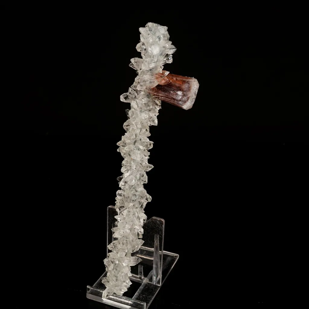 Stellerite Wings on Gemmy Apophyllite Tower Natural Mineral Specimen image