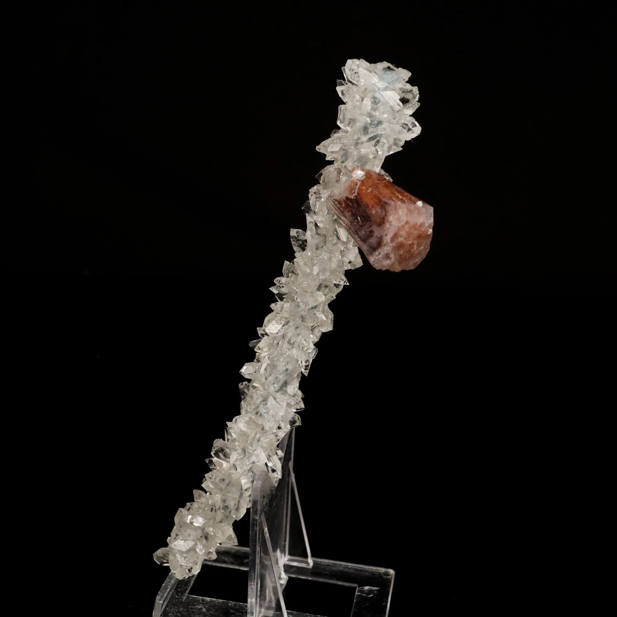 Stellerite Wings on Gemmy Apophyllite Tower Natural Mineral Specimen - image 2