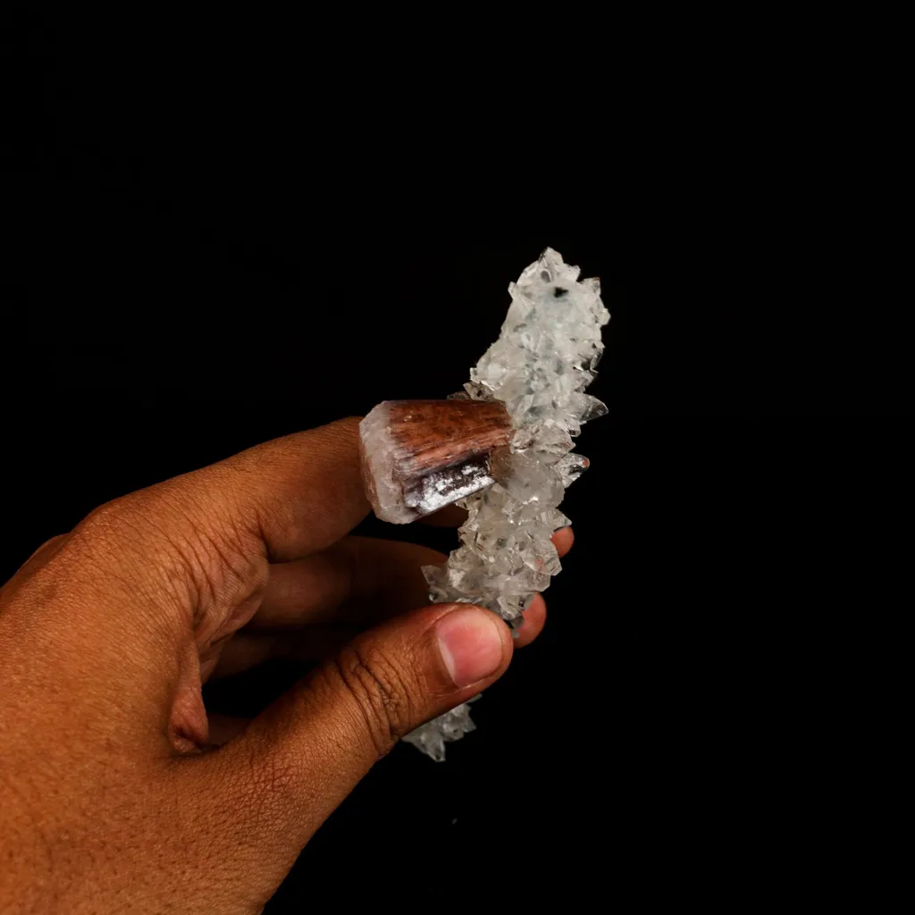 Stellerite Wings on Gemmy Apophyllite Tower Natural Mineral Specimen - image 5
