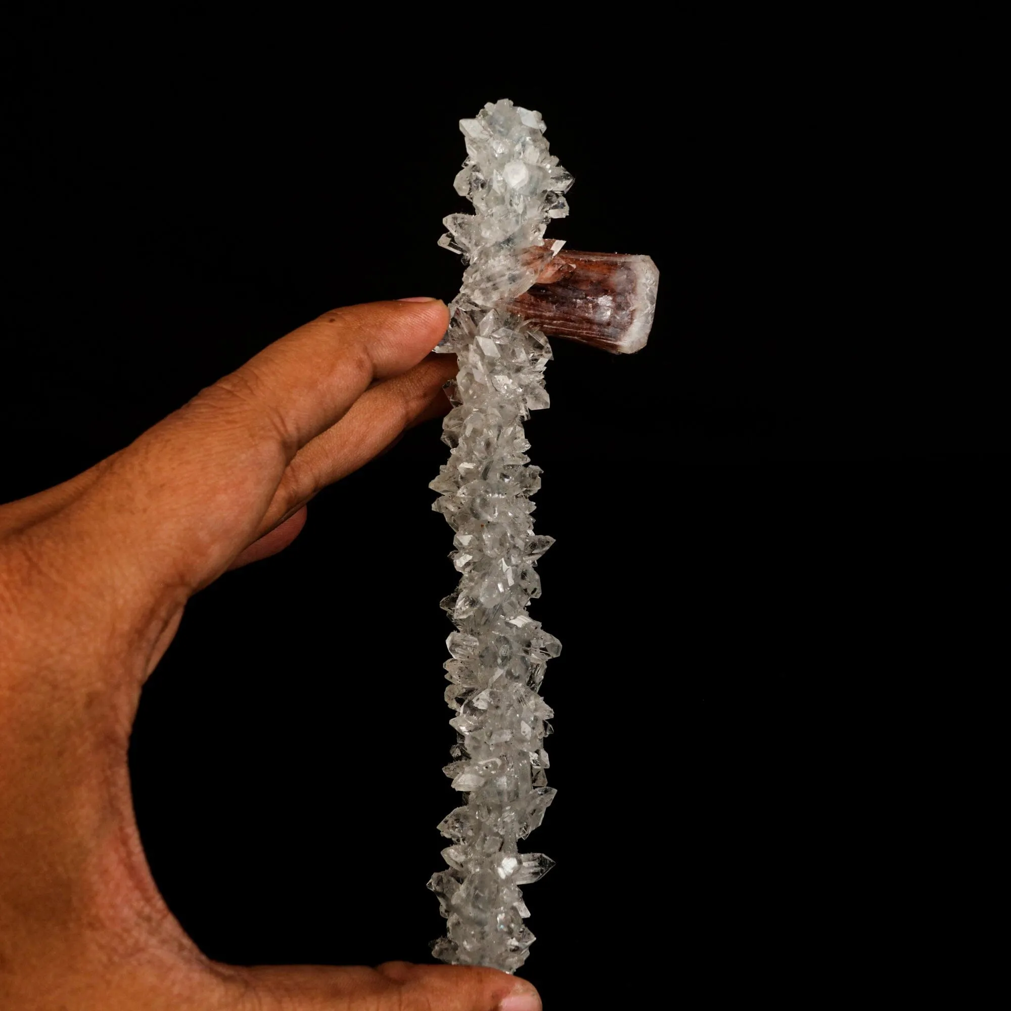 Stellerite Wings on Gemmy Apophyllite Tower Natural Mineral Specimen - image 3