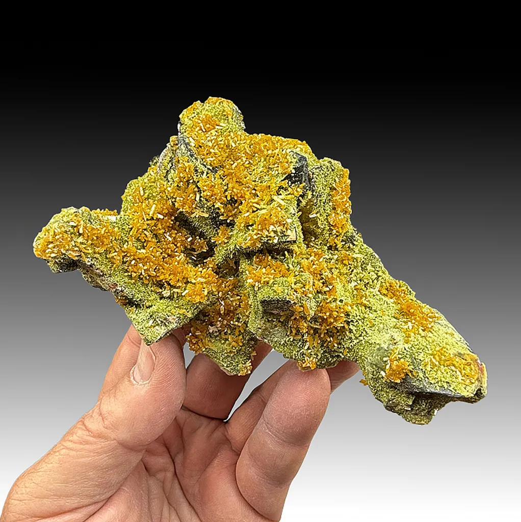 Stellerite with Epidote, Quartz image