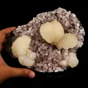 Stellerite with Stilbite Natural Mineral Specimen - image 4