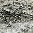 Stephanite - image 1