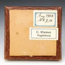 Stephanite - image 4