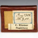 Stephanite with Pyrargyrite, Argentopyrite - image 3