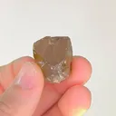 specimen video