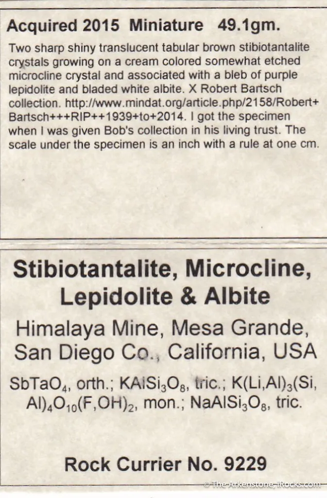 Stibiotantalite, Lepidolite and Albite on Microcline - image 3