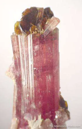Stibiotantalite on Tourmaline image