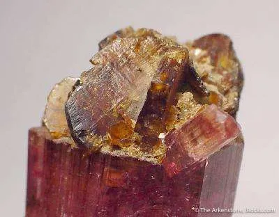 Stibiotantalite on Tourmaline - image 2