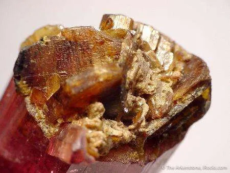 Stibiotantalite on Tourmaline - image 3