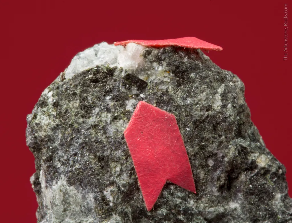 Stibivanite (co-type locality) with Clinochlore on Dolomite - image 3