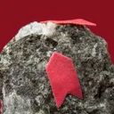 Stibivanite (co-type locality) with Clinochlore on Dolomite - image 3