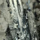 Stibnite - image 8