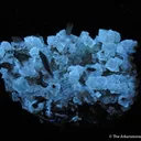 Stibnite and Calcite - image 6