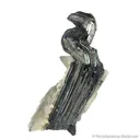 Stibnite and Calcite - image 1