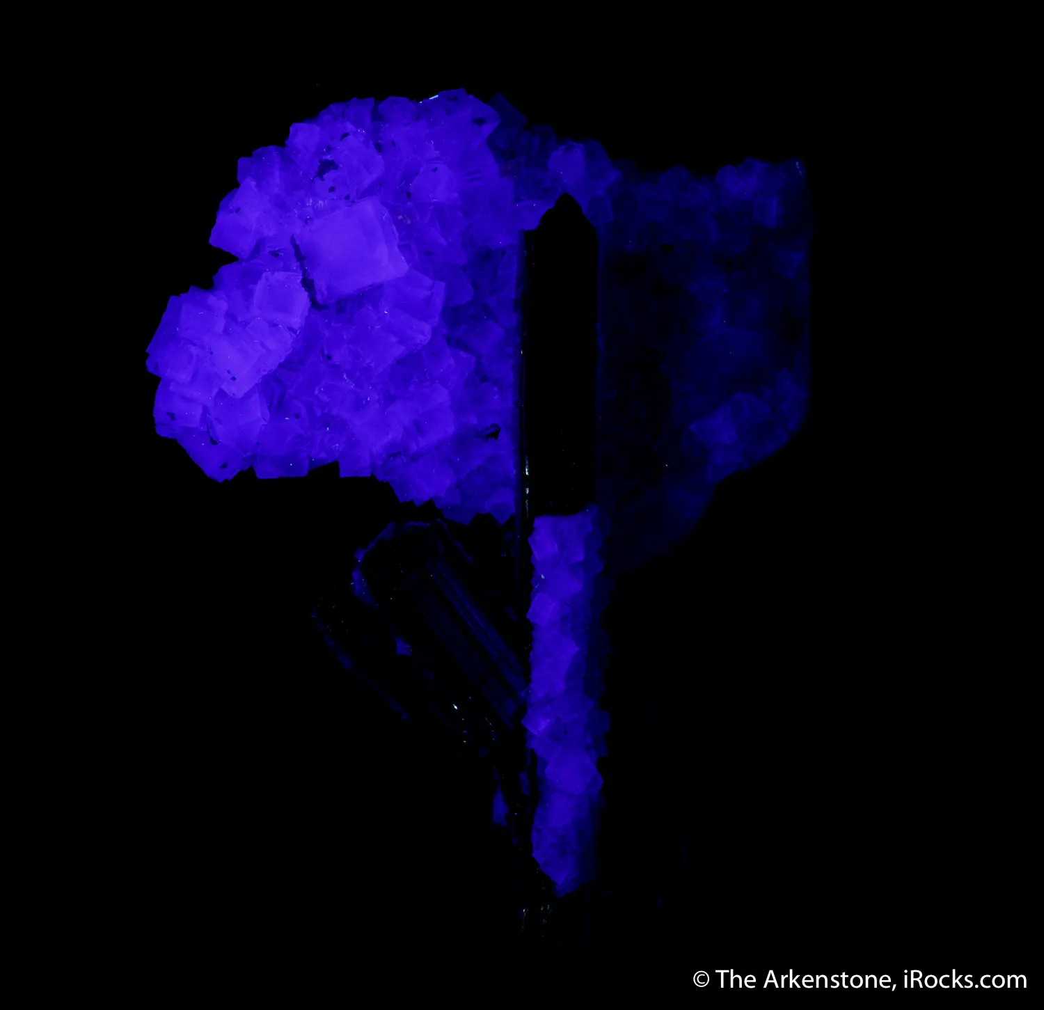 Stibnite and Fluorite (fluorescent) - image 4