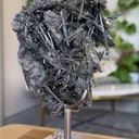 specimen video