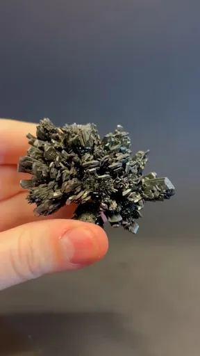 specimen video