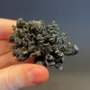 specimen video