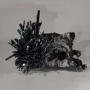specimen video