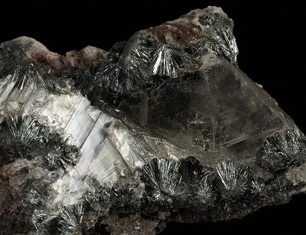 Stibnite, Gypsum - image 2