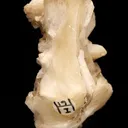 Stilbite - image 3
