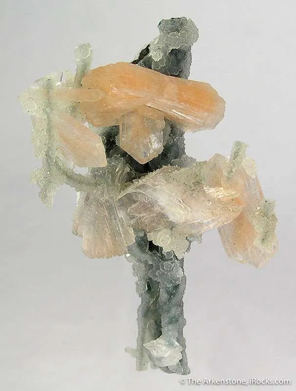 Stilbite and Heulandite on Chalcedony Stalactite image
