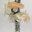 Stilbite and Heulandite on Chalcedony Stalactite - image 1