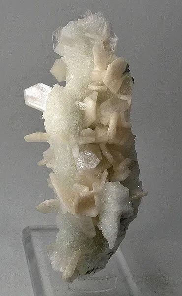 Stilbite, Apophyllite, Quartz image