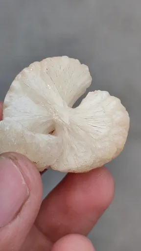 specimen video