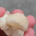 Stilbite Bow - image 4