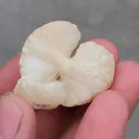 Stilbite Bow - image 7