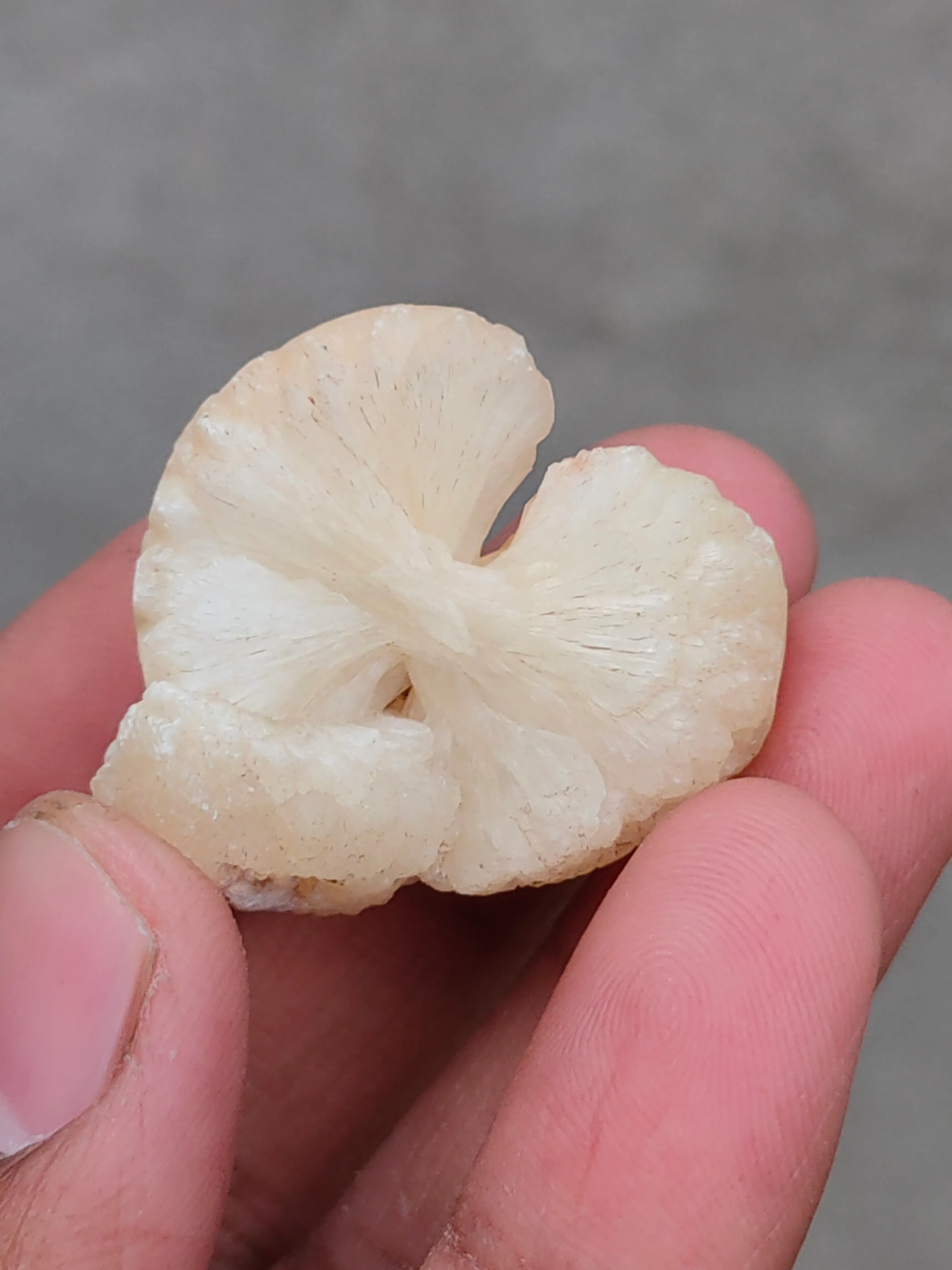 Stilbite Bow - image 7