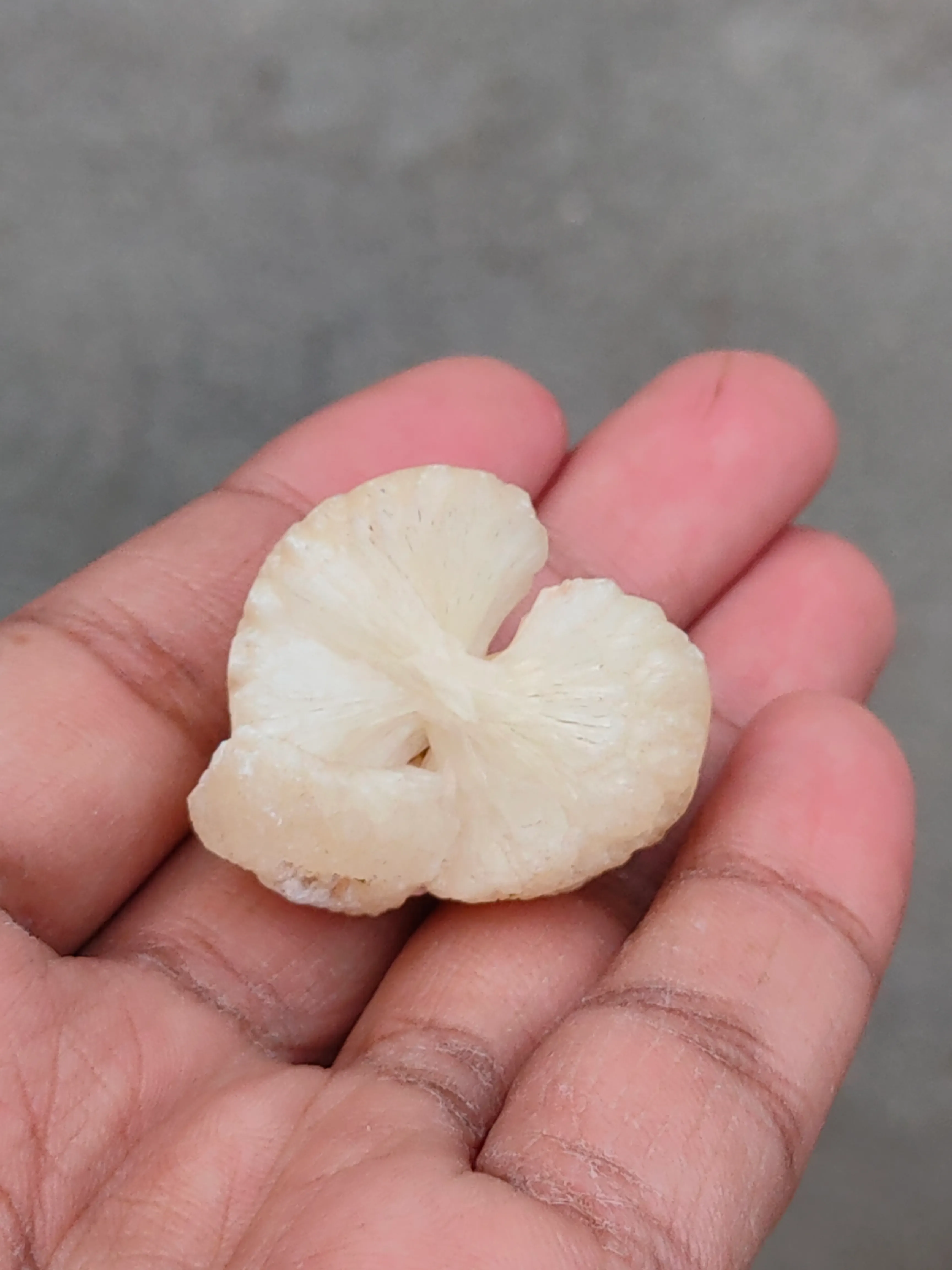 Stilbite Bow - image 5